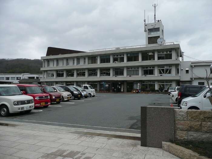 Immigration to Sayou Town
